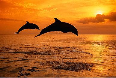 EA发布2022财年Q3财报：预定值破历史记录