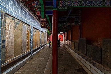 《千变的迷宫 风来的希炼6 蛇蜷岛探险谭》第二波免费更新档开放下载！